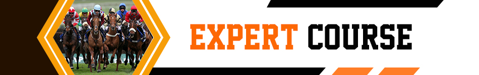 expert-course